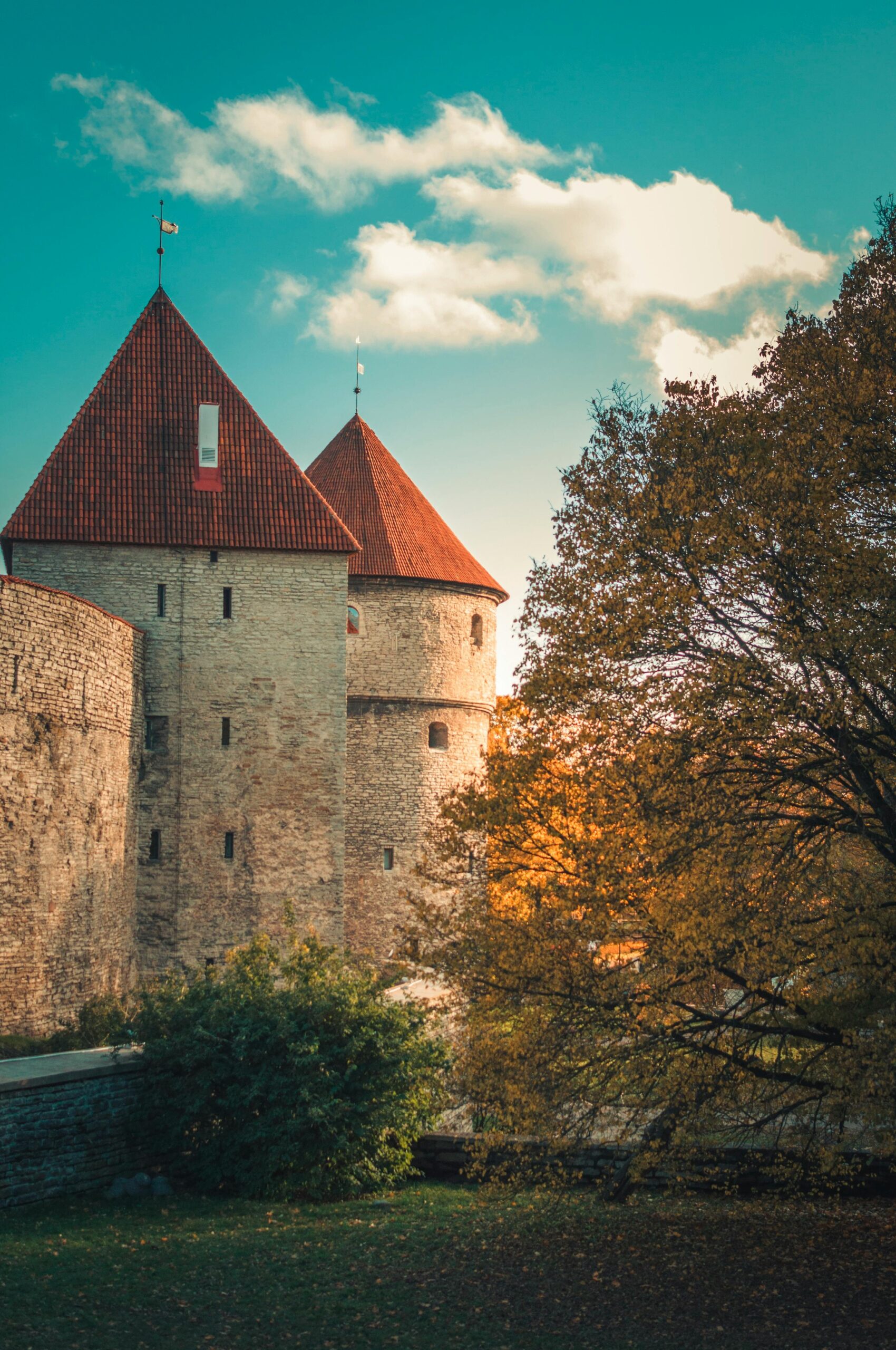 Discovering the Hidden Gem of Estonia: A Guide to Studying in Estonia